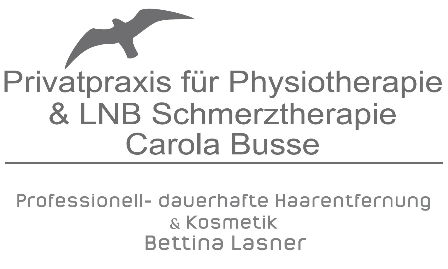 Privatpraxis für Physiotherapie und LNB Schmerztherapie Carola Busse